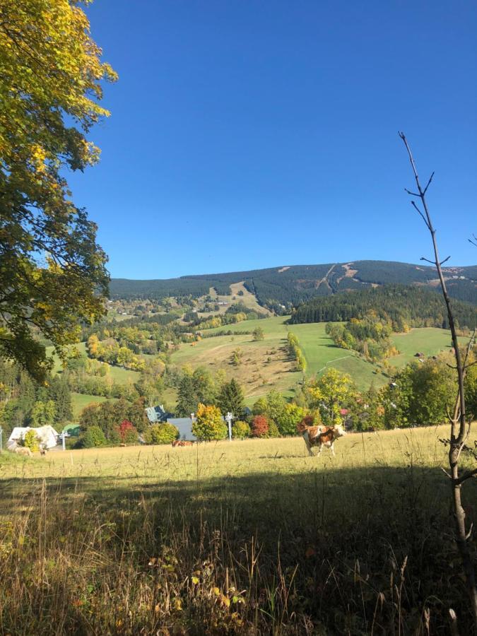 Apartmán ROKY 6 Rokytnice nad Jizerou Exterior foto